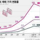 10·15 대책에도 서울 집값 38주째↑…한강벨트 1%대 상승폭 이미지