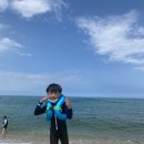 피자스쿨(입암점)
