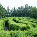 미로파크 이미지