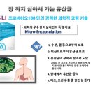 아실리코리아