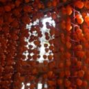 장성농장 이미지