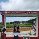 안면도갤러리 | 태안 안면도 오마이갤러리 완전 정복기 - 아이와 함께하는 세계명화 여행