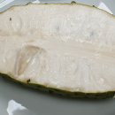 트리츠