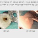 미소치과의원 이미지