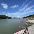 지니스테이 이미지