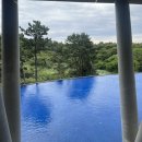 세류3 879-31 | [제주 여행] 히든 클리프 제주 호텔 | 히든 클리프 조식 | 수영장 | 고집돌 우럭