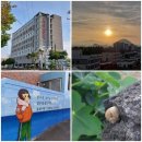 모슬포2호텔 이미지