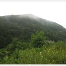 용산지 Daum카페