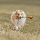 명월로에서 이미지