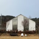 스테이제부 이미지