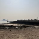 바위솔민박 이미지