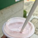 레스티오 티스토리