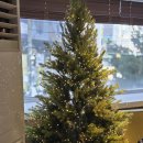 동교2길-2 | [마포]재신 동교ㅣ숨어있는 찐 커피 맛집 ☕️🍰 (찾기 힘듦 주의!)