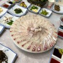 바다향기회센타 | 남해 쏠비치 근처 미조항 횟집 추천 바다향기 회센터 내돈내산