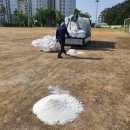 대촌중학교 운동장 이미지