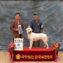 카론