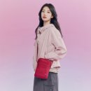 봄이오니 이미지