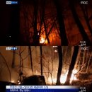 내서읍360 이미지