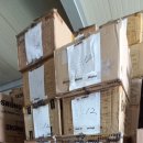 거상애견 이미지