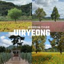 호국공원공중화장실 | 경남 의령 호국의병의숲 친수공원 댑싸리, 핑크뮬리 실시간