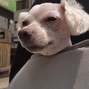 유샘외과의원 이미지