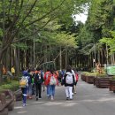 절물자연휴양림 이미지