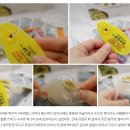 유니바라기