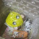 카세트플레이어 구매후기 (햄토리ㅅㄹㅎ)