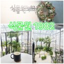 수원-1982 | 수원 온실카페 ★ 식물원 1982 방문후기
