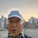 김안과망막5층