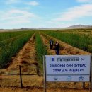 푸른숲 민박 이미지