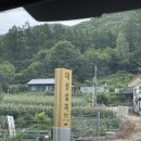 대성설피펜션 | 강원도 인제군 계곡 펜션 대성 설피 펜션 솔직 후기