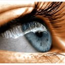 광성소프트 이미지