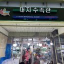 대지수족관 네이버블로그