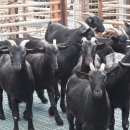 하모니농장 이미지