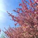 낙안읍성(주차장 2) 화장실 이미지