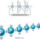 주식회사하임약품 이미지