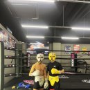 STS BOXING 이미지