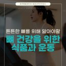 마들역정형외과 튼튼한 뼈를 위한 식사와 추천 운동