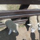 기분좋은펜션 이미지