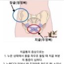 와이존