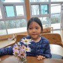 성불산자연휴양림 치유의 숲 치유프로그램 2시간 / 괴산에서 2박3일 살아보기(8/8)