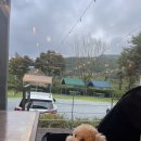 유정1955 이미지