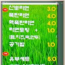 산뽀갈땐김밥