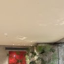 서울파크 | 파크 하얏트 서울 코너스톤 | 이탈리안 다이닝 재방문 후기