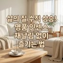 빌라트A | 집안 냄새 제거 아스티에드빌라트 인센스 재날림 해결