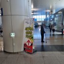 금산웰빙홍삼 | 10월 축제 추천 금산인삼축제 백종원의 푸드페스타 후기