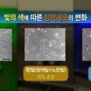 글라스미렌즈미 덕계역점 이미지