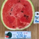 주당도가