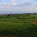 일원농장 이미지